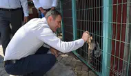 Bayındır sokaktaki dostları için yeni yaşam alanı kuruyor