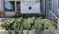 Samsun Bafra’da büyük uyuşturucu baskını