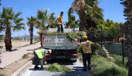 Kuşadası parkları ve caddeleri sezona yenilenerek hazırlanıyor
