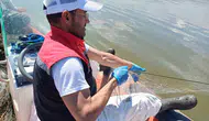 Çorum barajlarında yasa dışı avcılığa büyük darbe