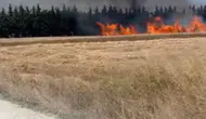Silivri’de direk kesimi tarlaları küle çevirdi