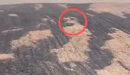 Çanakkale yangınında yaşam mücadelesi veren geyik görüntülendi