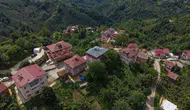 Ordu’da bir mahalle dolusu Sarı soyadlı insan yaşıyor