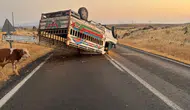 Siverek yolunda kaza trafiği birbirine kattı