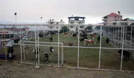 Çine yangınında tahliye edilen hayvanlar halı sahaya sığındı
