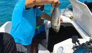 Söke kıyılarında balıkçı teknelerine sıkı denetim