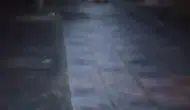 Bolu Kıbrıscık'ta bozayı çocuk parkına yerleşti