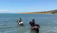 Van Gölü’nde atlarla serinleme mesaisi