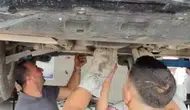 Osmaniye'de İtfaiye Ekipleri Motor Bölümünde Sıkışan Kediyi Kurtardı