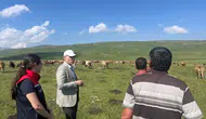 Karslı üreticinin 2 bin 500 rakımlı yayla mesaisi