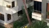 Maltepe'de şiddet anına komşulardan taşlı tepki