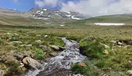 Ordu yaylalarında kar ve bahar aynı kadranda