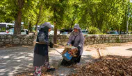 Karacabey Belediyesi ilçe genelinde çevre düzenlemesine hız verdi