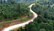 Ordu’nun yayla yolları betonla konfora kavuşuyor