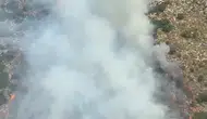 Demre kıyılarında orman yangını paniği