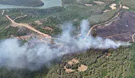 Tekirdağ Şarköy'de anız yangını ormana sıçradı