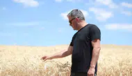 Pursaklar Belediyesi boş arazileri tarlaya çevirdi