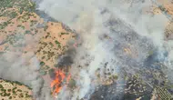 Pamukkale travertenleri yakınında orman yangını paniği