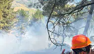 Adana Saimbeyli orman yangını korkuttu