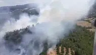Balıkesir Altıeylül’de orman yangını alarmı