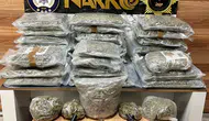 İstanbul narkotik ekipleri üç ilçede uyuşturucu baskını yaptı