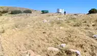 Aladağlar'da paraşütçüye çoban köpekleri saldırdı