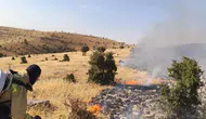 Mardin Mazıdağı'nda korkutan alevler kontrol altına alındı