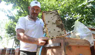 Hataylı arıcıların yüzü bu sezon bol yağmurla güldü