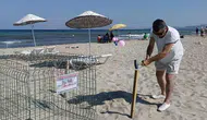 Kuşadası sahillerinde yeni caretta caretta yuvaları bulundu