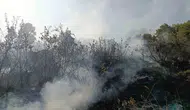 Bingöl alevlere teslim oldu ekipler müdahale etti