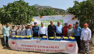 Buharkent inciri tezgaha iniyor