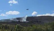 Gebze Beylikdağı’nda orman yangını korkuttu