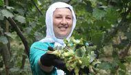 Ordu’da fındık mesaisi başladı ama üreticinin yüzü gülmüyor