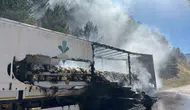 Bolu'da tır yangını ormana sıçrayarak korkuttu