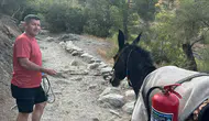 Antalya orman yangınında eşekli lojistik desteği
