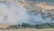 Silvan kırsalında ağaçlık alanda çıkan yangın korkuttu