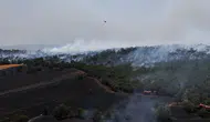 Kütahya’da tarladan ormana sıçrayan yangın kontrol altına alındı