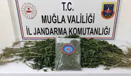 Muğla’da uyuşturucu operasyonu 33 kişi hapse girdi