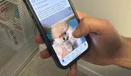 Köpek sahiplendirme yalanıyla binlerce liralık vurgun
