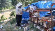 Torosların zirvesinde emeklilik hayatı arıların peşinde geçiyor