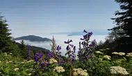 Artvin’in zirvelerinde oluşan dev sis denizi görüntülendi