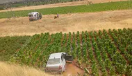 Malatya yolunda otomobil 20 metrelik uçuruma yuvarlandı