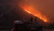 Çine ormanlarındaki yangınla mücadele üçüncü gününde sürüyor