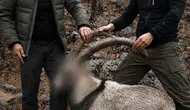 Siirt’te altı yıl önce vurulan yaban keçilerinin hesabı soruldu