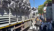 Kömürün arasına gizlemişler TIR'da 1,5 kilo esrar yakalandı