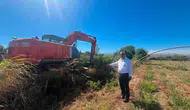 Sultanhisar çiftçisinin yol çilesi bitiyor