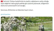 Van Gölü'nün saklı cenneti artık devlet koruması altında: 54. milli park ilan edildi