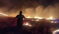 Alaca'da 7 köyün tarlalarında yangın, ekipler bölgede