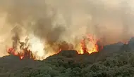 Turgutlu alevlere teslim oldu