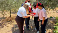 Manisa bahçelerinde sinek alarmı Ekipler sahaya indi